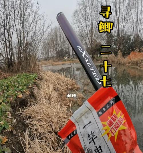 如何掌握钓鱼技巧十三条？十三条钓鱼技巧有哪些常见问题？