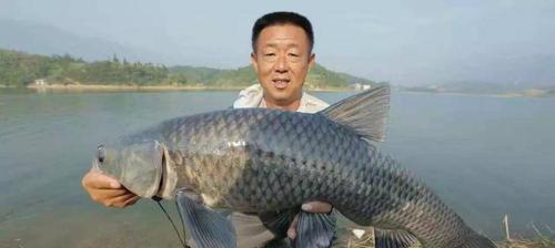 钓鱼技巧钓鱼四海钓鱼？如何提高钓鱼成功率？