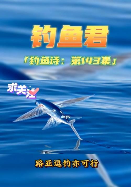 钓鱼技巧如何飞鱼摘鱼？掌握这些方法轻松上钩！