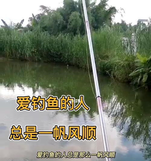 钓鱼技巧入门演示？如何快速掌握钓鱼的基本方法？
