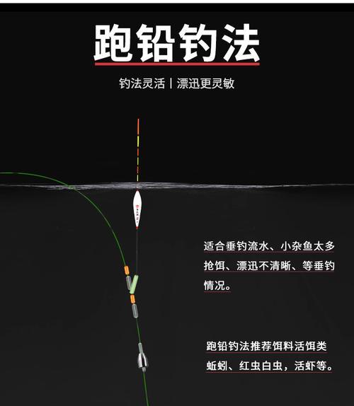 双铅钓法教程有哪些技巧？如何提高钓鱼效率？