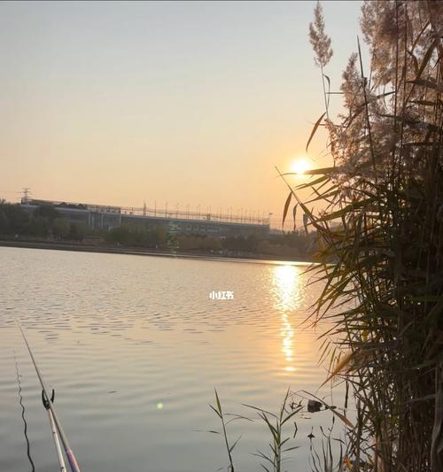 如何选择最佳钓位？掌握钓鱼技巧选钓位的秘诀是什么？