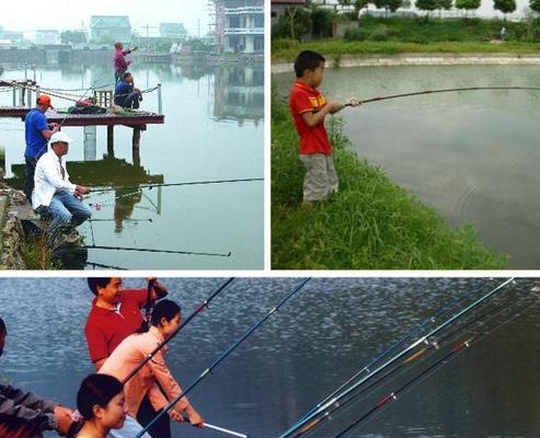 台钓需要注意这5点？掌握这些技巧让你成为钓鱼高手！