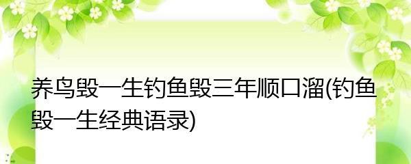 钓鱼技巧顺口溜带符号有哪些？如何记忆和应用？