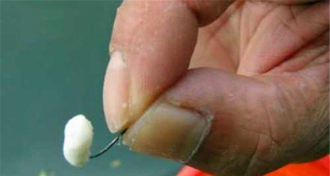 如何正确使用玉米作为钓鱼素饵？玉米钓鱼技巧有哪些常见问题？