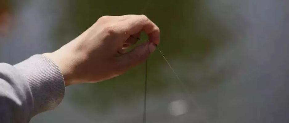 钓鱼技巧提竿的最佳时机是什么时候？如何判断？