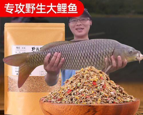 如何选择最佳鲤鱼饵料？掌握这些钓鱼技巧能提高钓鲤鱼成功率吗？
