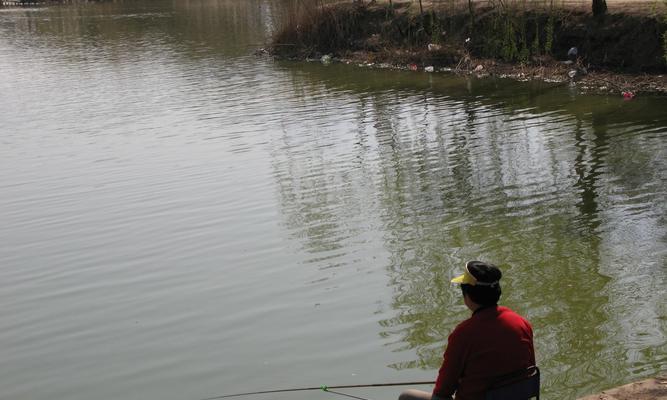 冬钓流水鲫鱼技巧有哪些？如何提高冬钓流水鲫鱼的成功率？