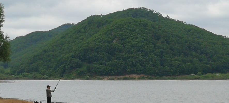 冬钓柳根鱼如何垂钓？有哪些技巧可以提高成功率？