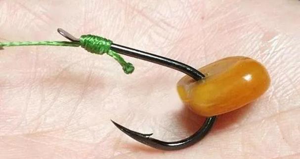 冬季钓鱼如何使用嫩玉米作为诱饵？嫩玉米钓鱼有哪些技巧？