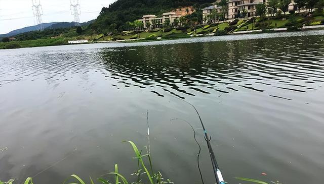 冬季北方大棚垂钓技巧有哪些？如何提高垂钓成功率？