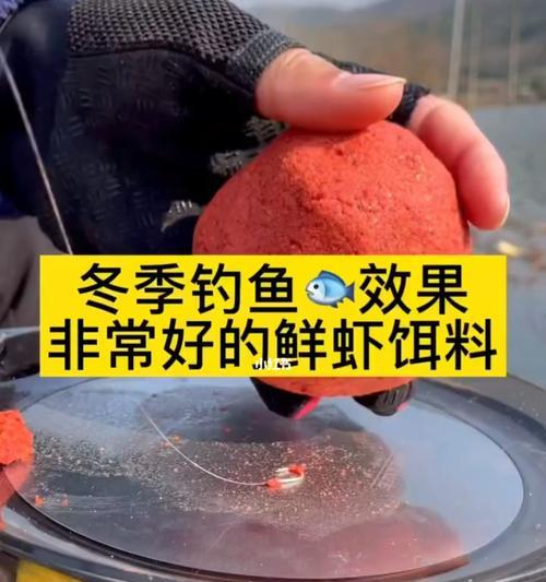 冬季北方钓鱼技巧有哪些？如何应对低温天气的挑战？