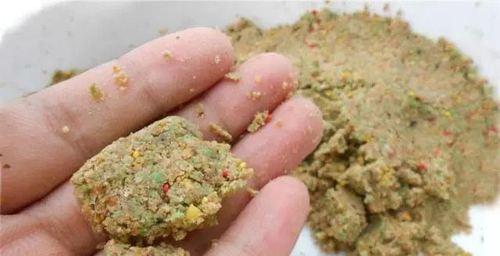 冬季不打窝野钓技巧是什么？如何提高冬季野钓的成功率？