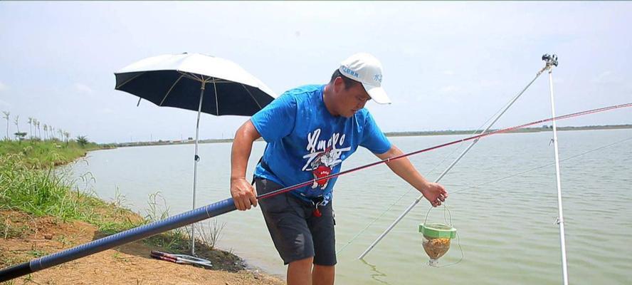 冬季野钓如何选位？传统钓法有哪些选位技巧？