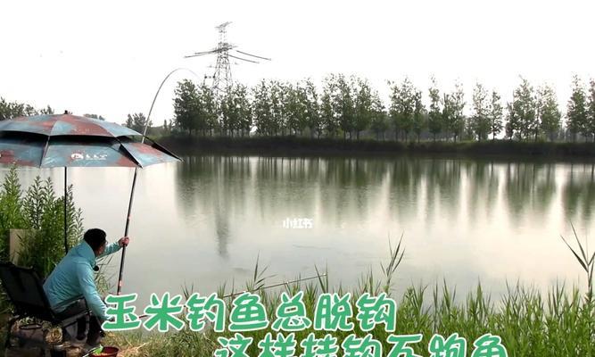 冬季钓鱼技巧有哪些？如何应对低温天气的挑战？