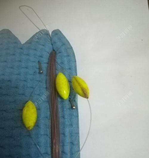 冬季钓鱼看漂技巧有哪些？长竿短线钓鱼如何提高看漂准确性？