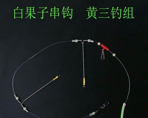冬季使用串钩海竿钓鱼有哪些技巧？如何提高钓鱼成功率？