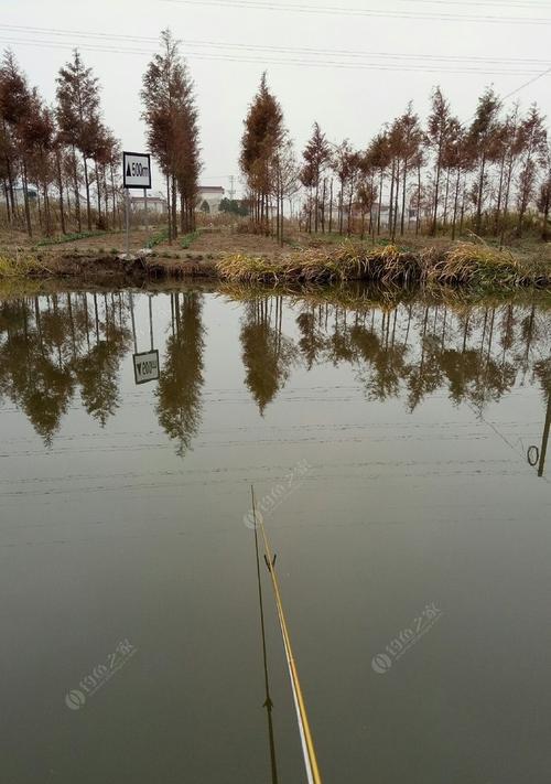 冬季垂钓打窝用饵有哪些技巧？如何正确施钓？
