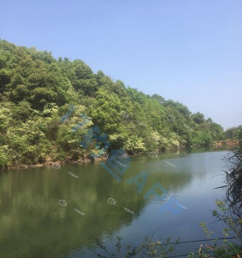 冬季大湖钓鱼选地技巧是什么？如何选择最佳钓鱼地点？