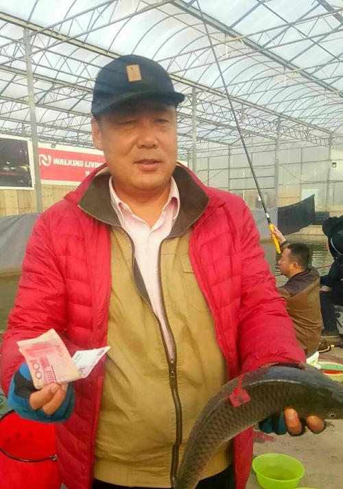 冬季大棚钓鱼技巧有哪些？如何提高钓鱼成功率？
