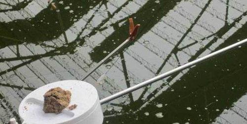 冬季大棚钓鱼技巧有哪些？选择什么样的饵料效果最佳？
