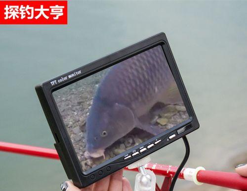 冬季大棚钓鱼锚鱼技巧有哪些？如何提高钓鱼成功率？