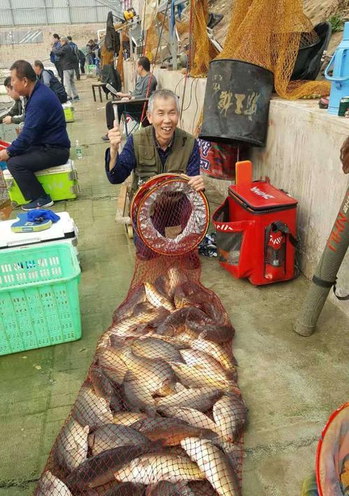 冬季大棚钓鱼配饵料有哪些技巧？如何根据季节调整钓鱼饵料？