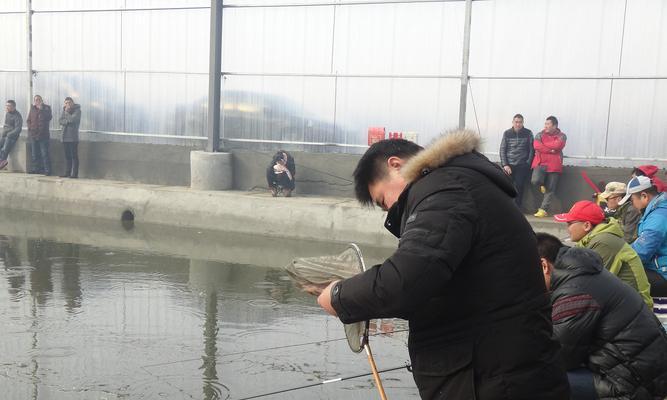冬季大棚钓鱼四个技巧是什么？如何提高钓鱼成功率？