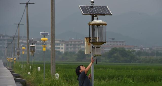 冬季大棚钓鱼用灯技巧教程？如何提高钓鱼效率？
