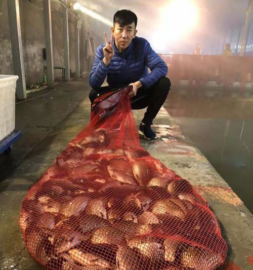 冬季大棚黑坑钓鱼技巧怎么说？有哪些常见问题及解决方法？