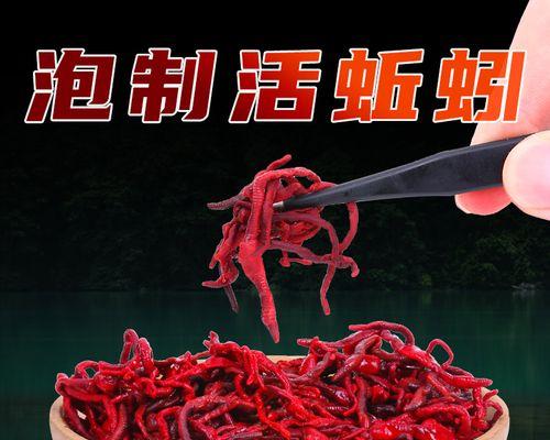冬季大棚红虫钓鱼技巧是什么？如何提高钓鱼成功率？