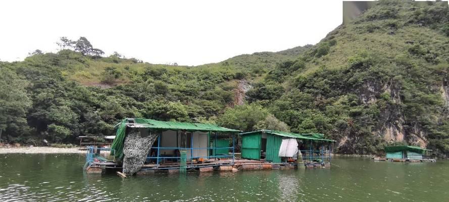 冬季大棚钓鱼技巧教程？如何在大棚中享受钓鱼乐趣？