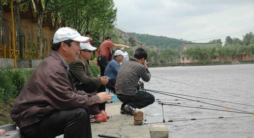 冬季大棚钓鱼技巧教程？如何在大棚中享受钓鱼乐趣？