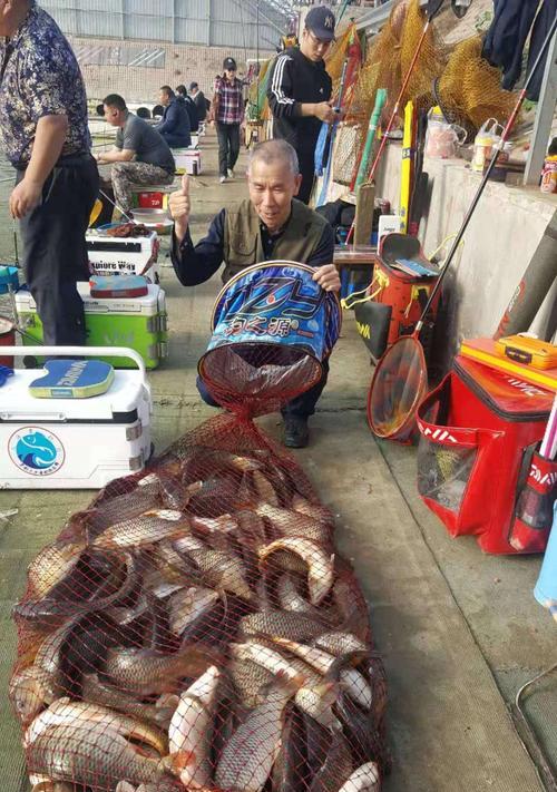 冬季大棚钓鱼技巧有哪些？如何提高鲤鱼钓获率？