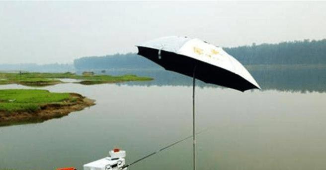 冬季大水面野钓技巧是什么？如何应对低温天气？