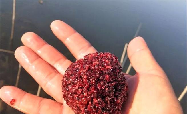 冬季钓鱼用红虫效果好吗？如何提高冬季红虫钓鱼成功率？