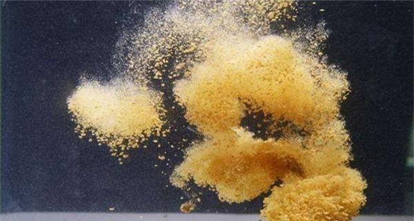 冬季钓鱼打窝技巧有哪些？低温环境下如何有效打窝？