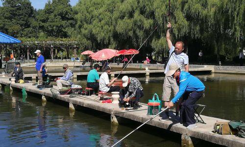 冬季钓鱼比赛技巧有哪些？如何在寒冷天气中提高钓鱼成功率？