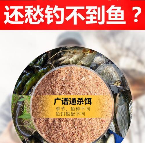 冬季钓鱼搓饵技巧有哪些？如何提高钓鱼成功率？