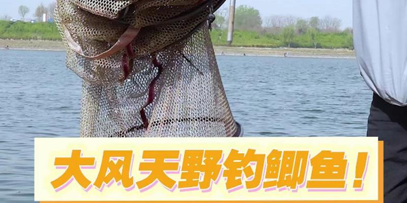 冬季钓鱼搓饵技巧有哪些？如何提高钓鱼成功率？