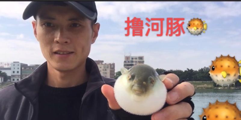 冬季钓鱼打龟技巧有哪些？如何提高冬季钓鱼的成功率？