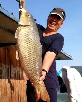冬季钓鱼打窝技巧3是什么？如何有效提高冬季钓鱼成功率？