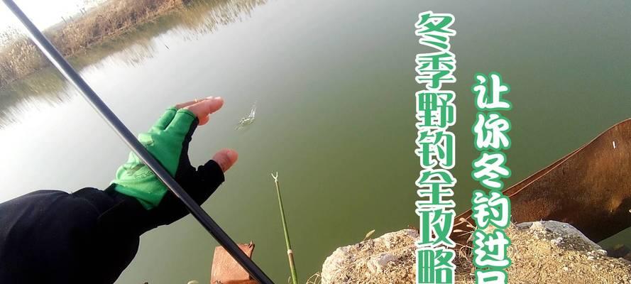 冬季钓鱼调漂技巧全知识点总结？如何应对低温天气下的钓鱼挑战？