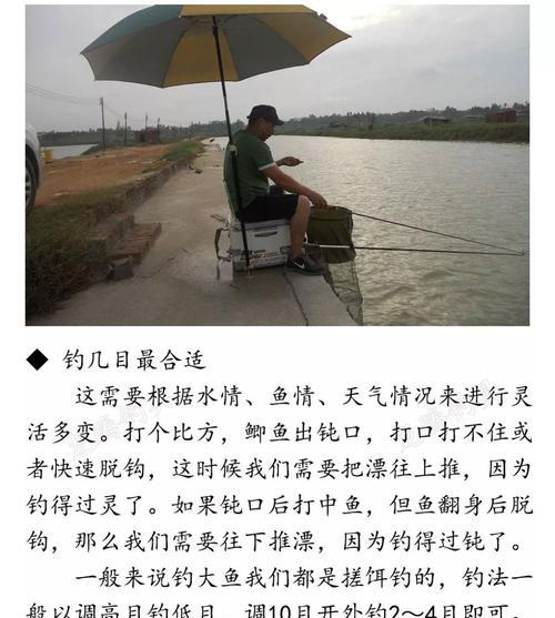 冬季钓鱼如何调漂找底？有哪些技巧和常见问题？