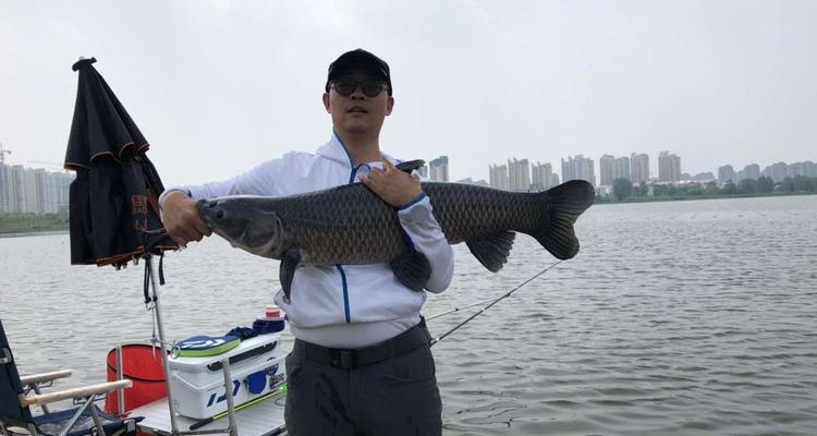 冬季钓鱼顿口调整方法和技巧是什么？如何应对冬季钓鱼的挑战？