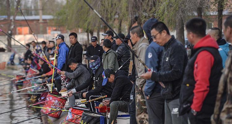冬季钓鱼高手浅谈作钓技巧？如何应对低温天气的钓鱼挑战？