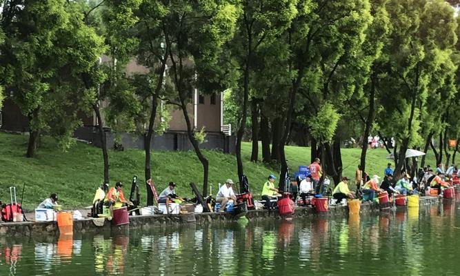 冬季钓鱼高手浅谈作钓技巧？如何应对低温天气的钓鱼挑战？