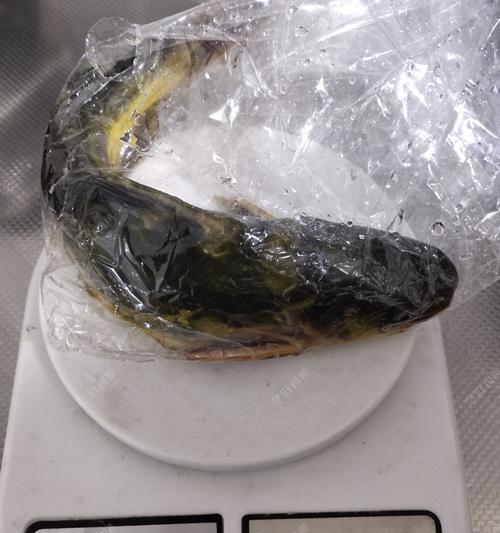冬季钓鱼技巧昂刺钓法有哪些？如何提高冬季钓鱼的成功率？