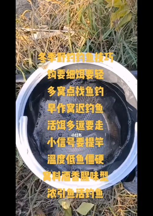 冬季钓鱼技巧饵料调配怎么做好？有哪些常见问题需要注意？