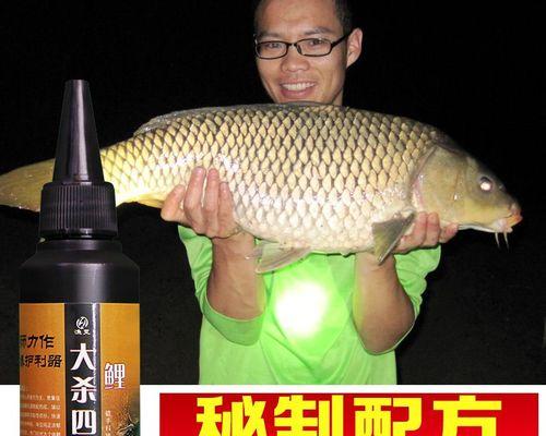 冬季钓鱼技巧和饵料配方是什么？如何提高钓鱼成功率？